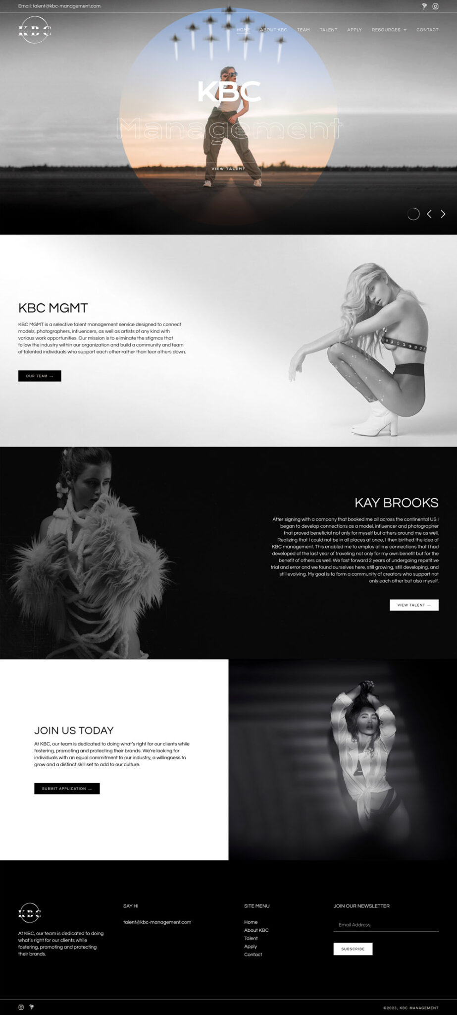 Wordpress website design