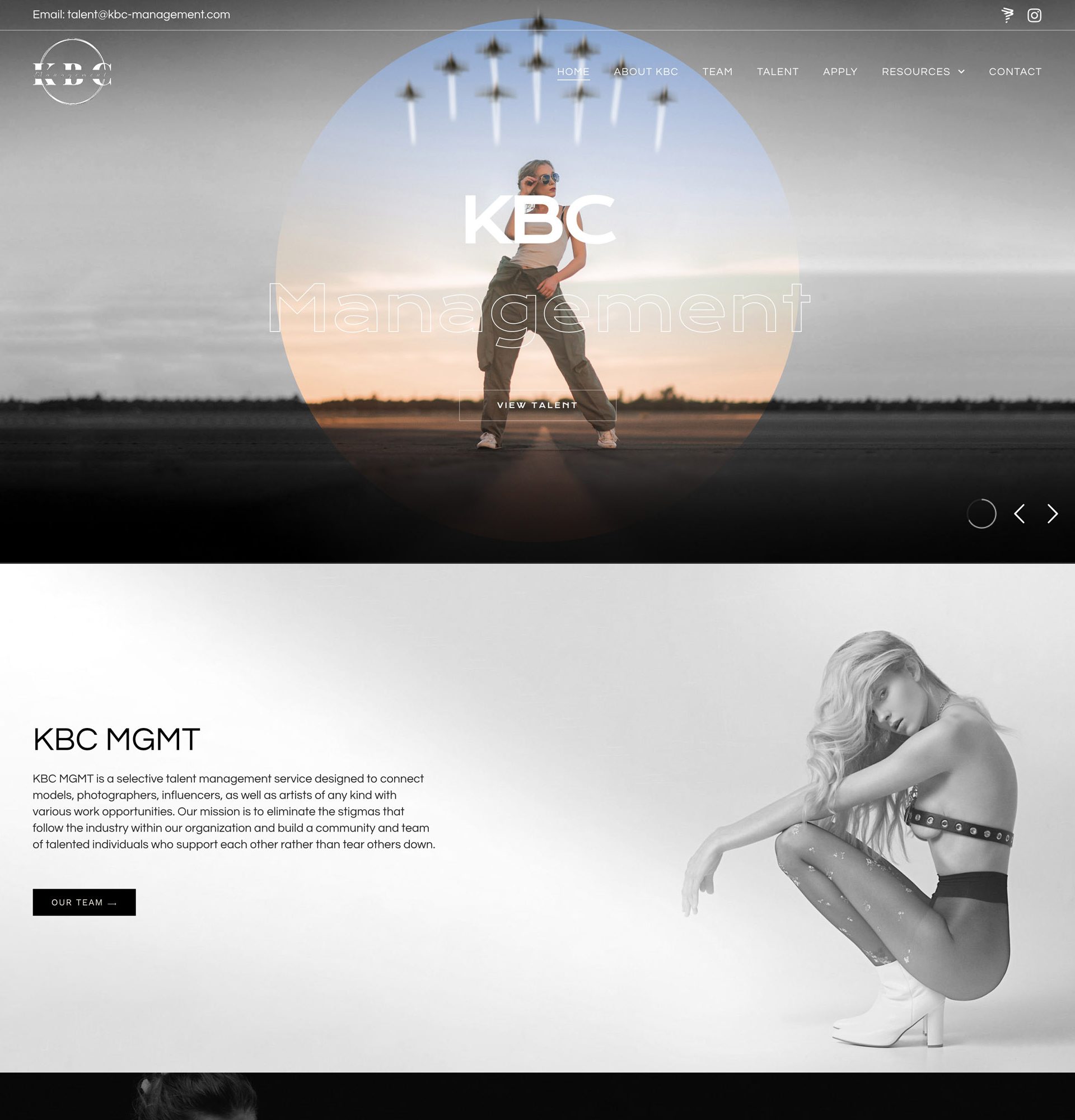 Wordpress website design. Shopify website design.